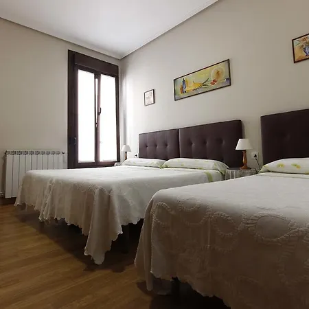 Loinaz سان سيباستيان